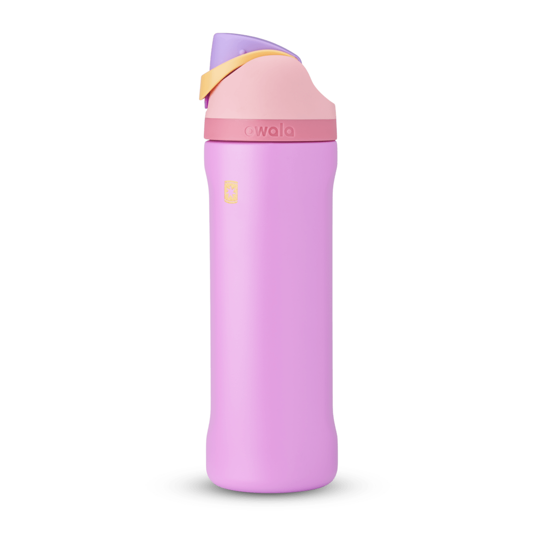 Disney Princess Collection Ovvala